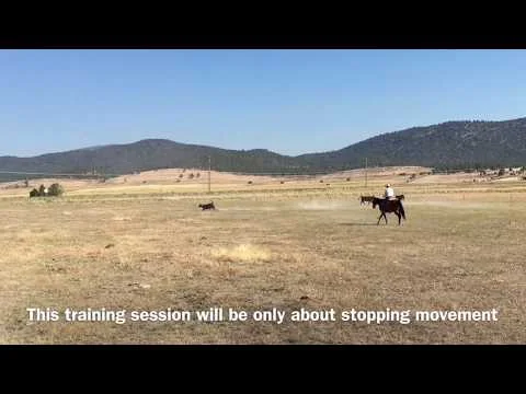 Published video thumbnail for 1st Day of Training