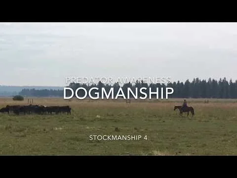 Published video thumbnail for Dogmanship