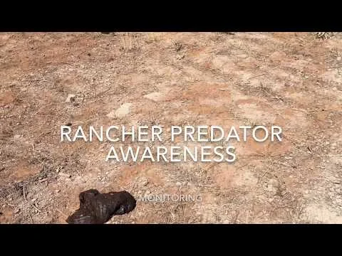 Published video thumbnail for Monitoring