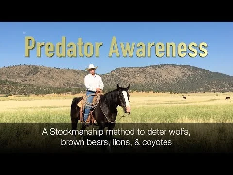 Published video thumbnail for Predator Awareness